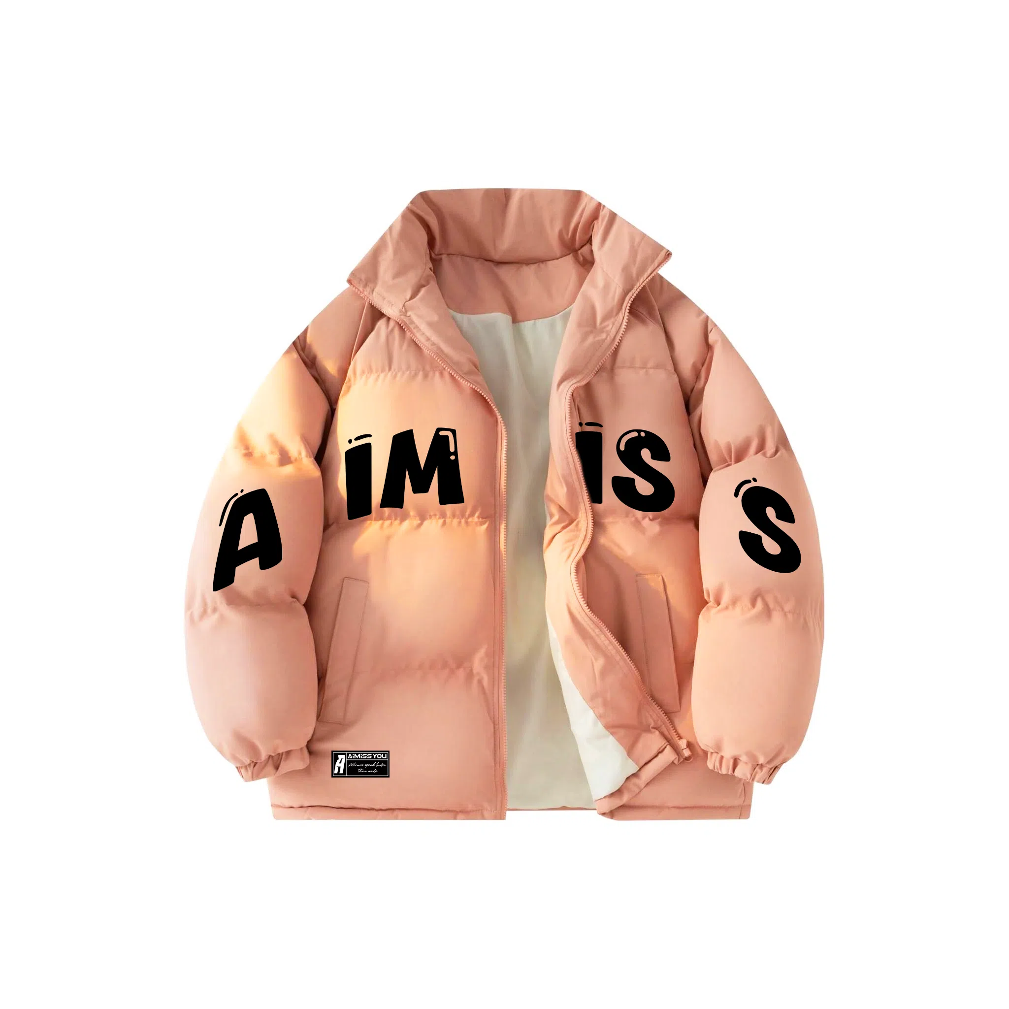 AIMISS Logo