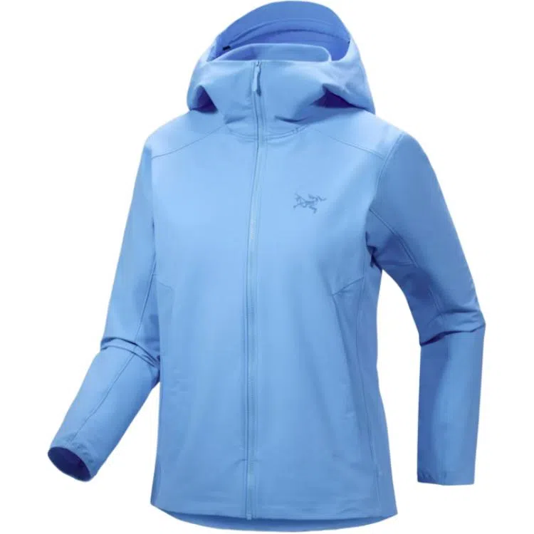 Arcteryx Gamma Hoody