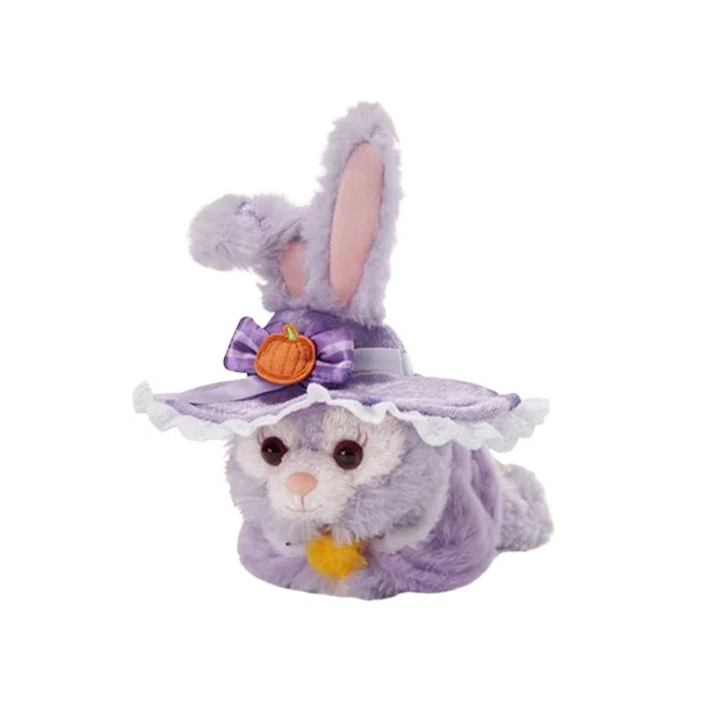 Disney x DISNEYLAND 2025 16cm