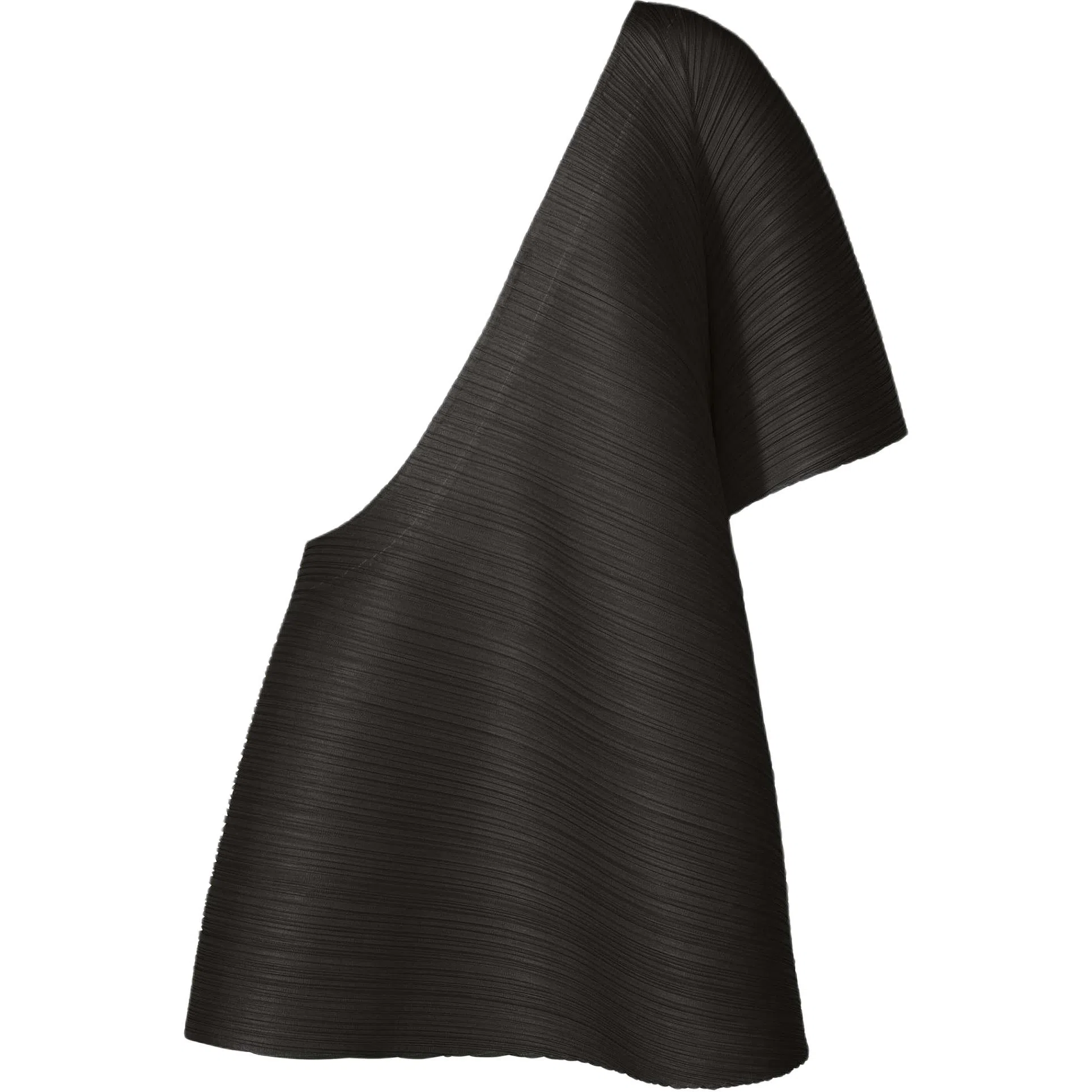 PLEATS PLEASE ISSEY MIYAKE FW25