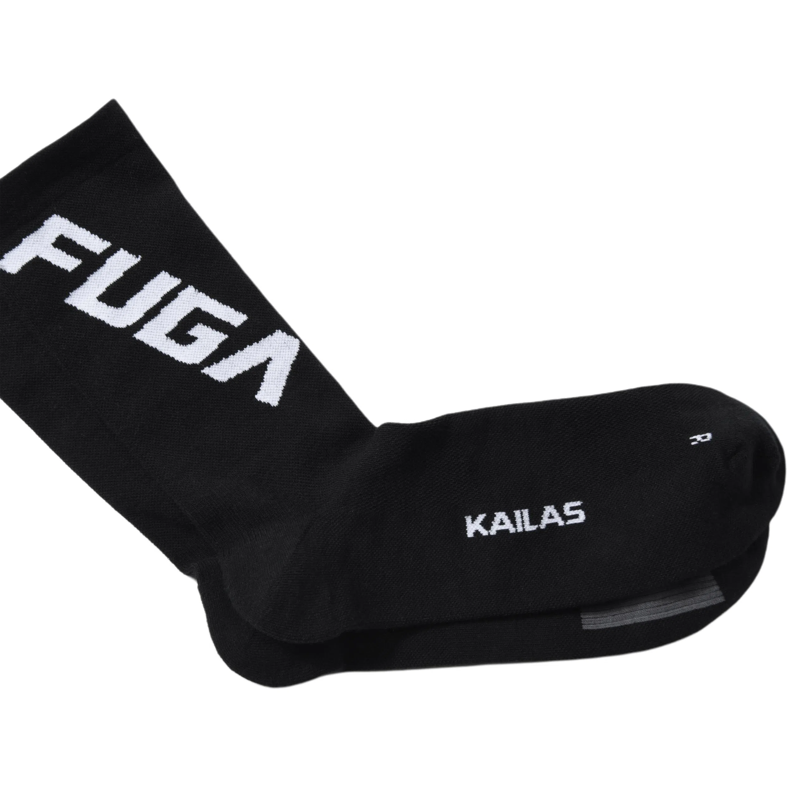 KAILAS FUGA