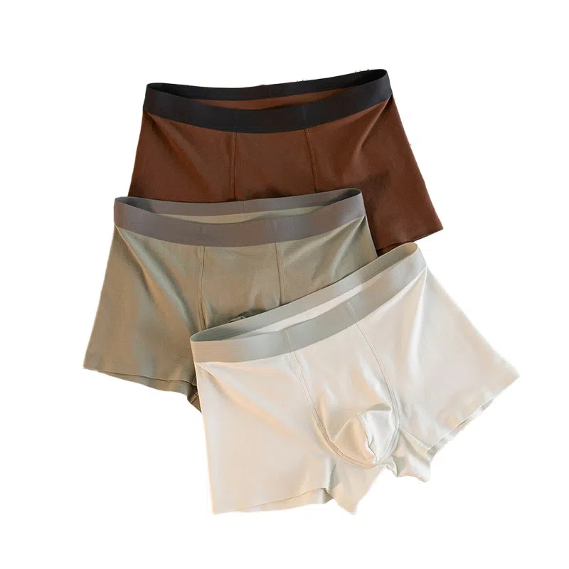 BANGBOY X IZTION 3100