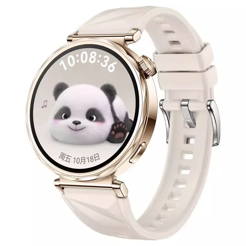 STEWPIGO Watch GT6GT5