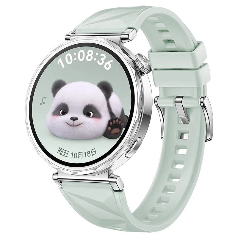 STEWPIGO Watch GT6GT5