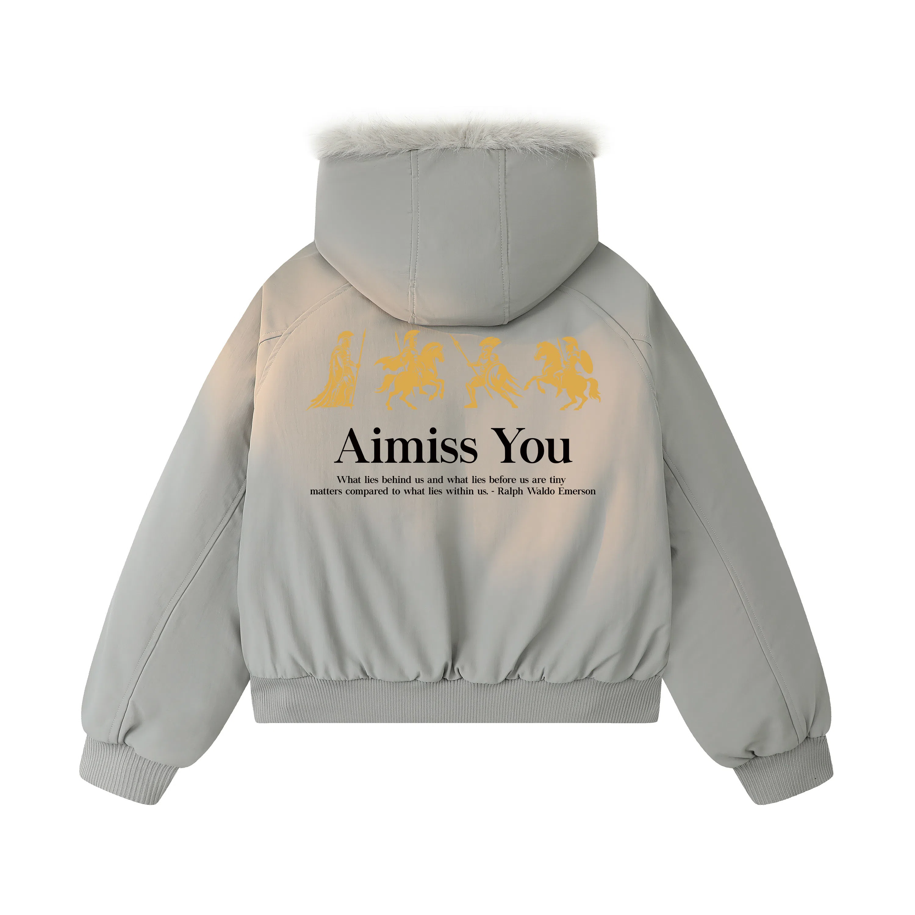 AIMISS Logo