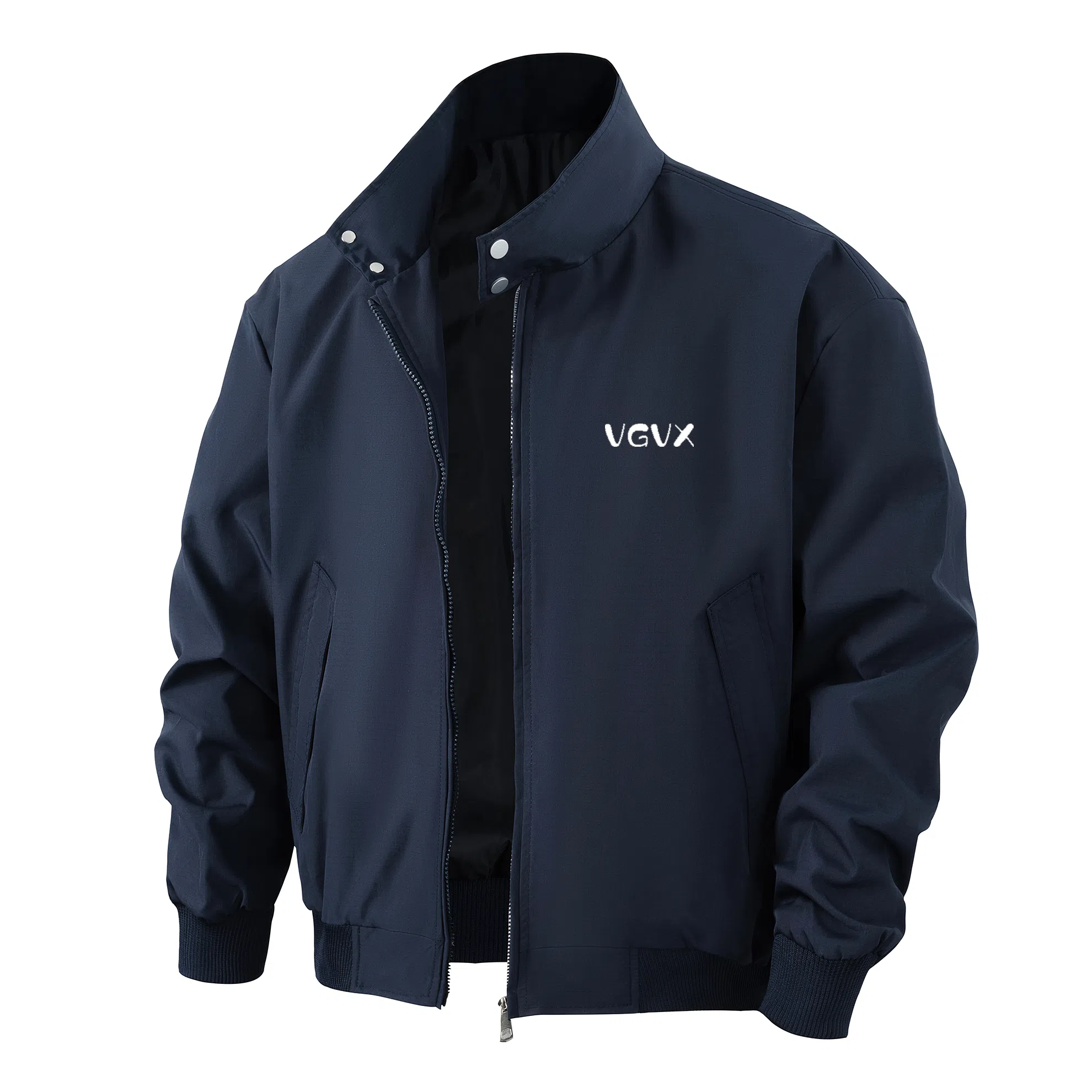 VGVX LOGO