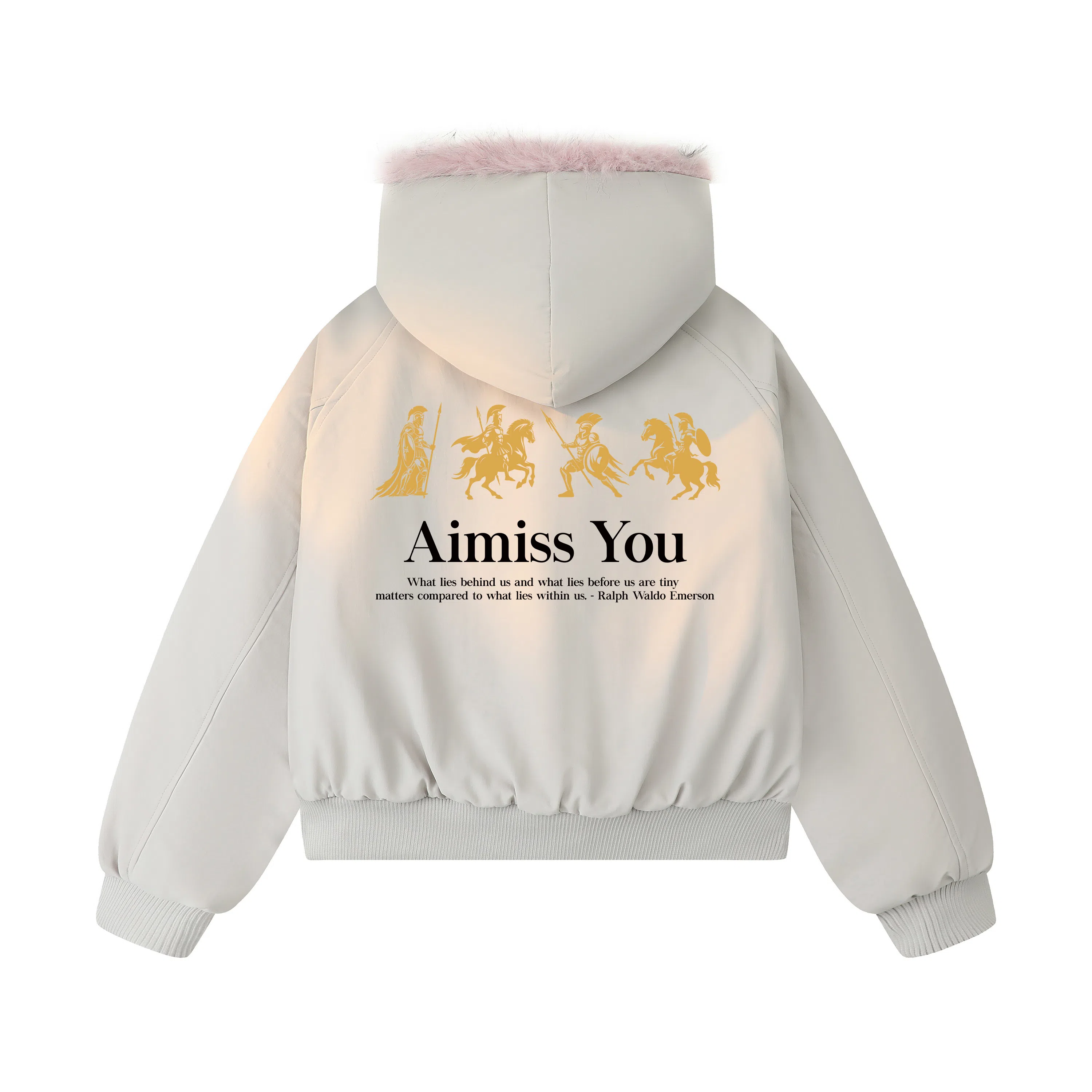 AIMISS Logo