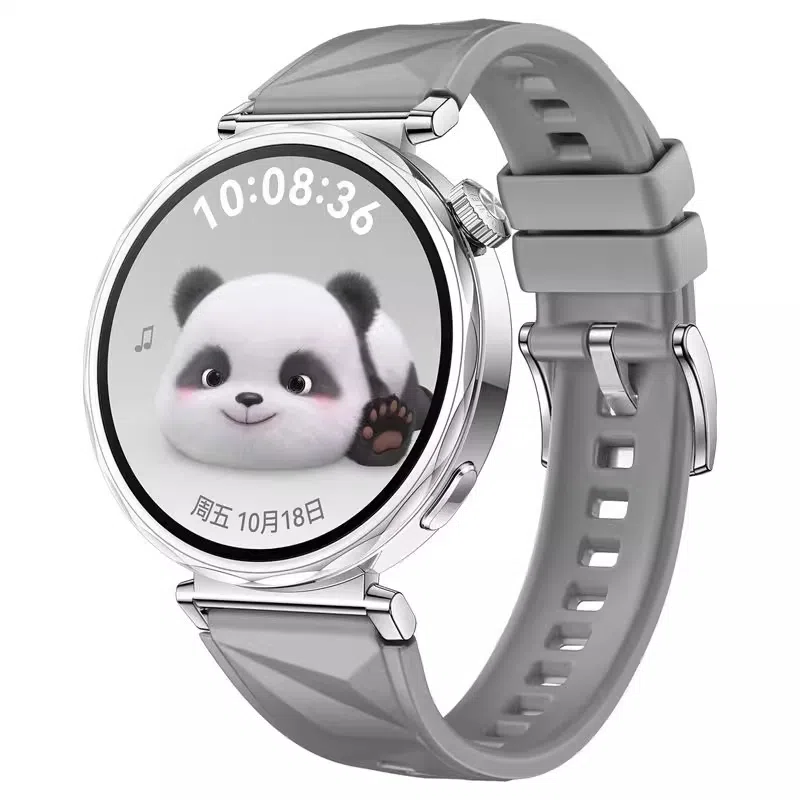 STEWPIGO Watch GT6GT5