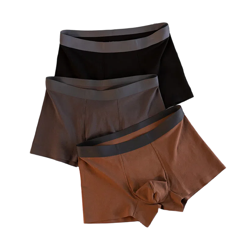 BANGBOY X IZTION 3100