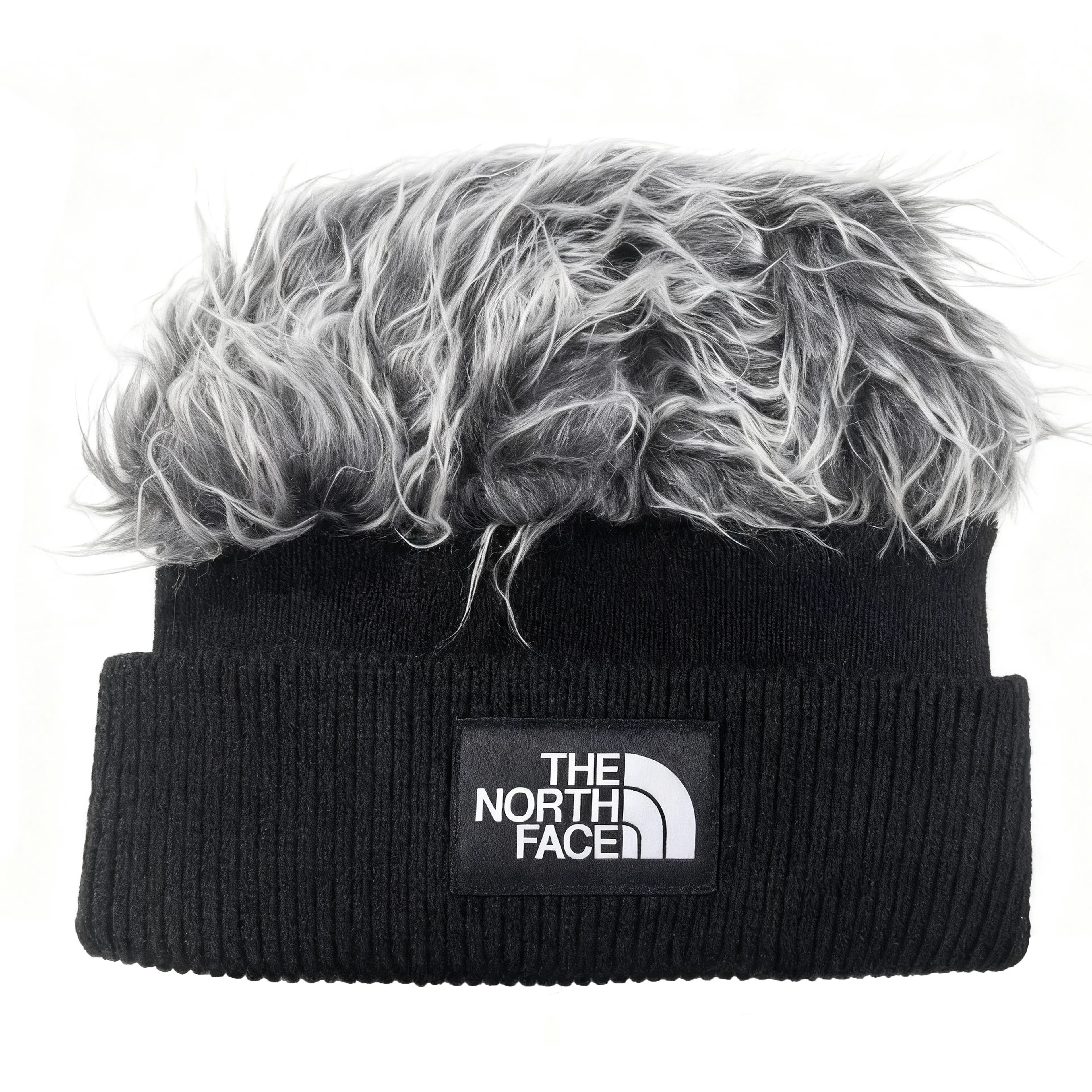 The North Face Fuji Vision Beanie Black