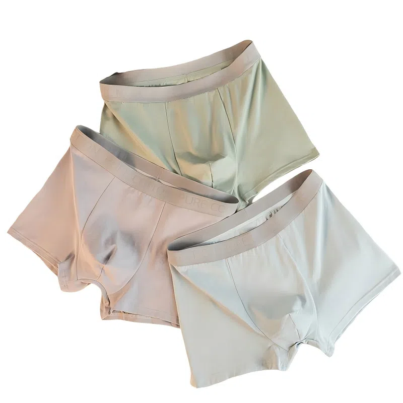 BANGBOY X IZTION 2025