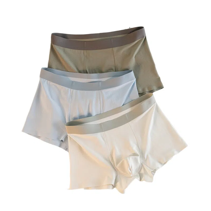 BANGBOY X IZTION 3100