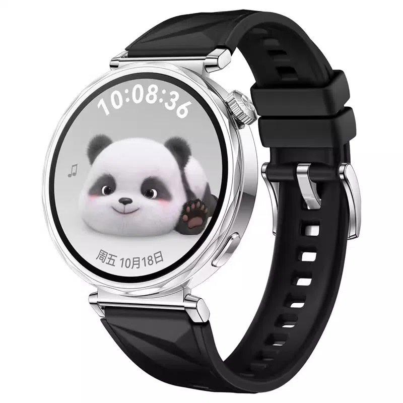 STEWPIGO Watch GT6GT5