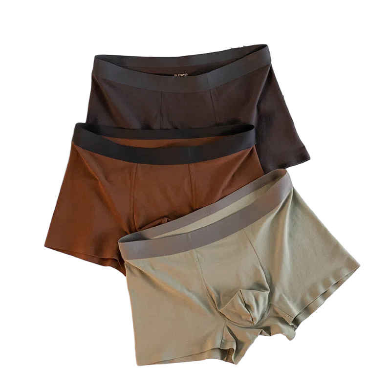 BANGBOY X IZTION 3100