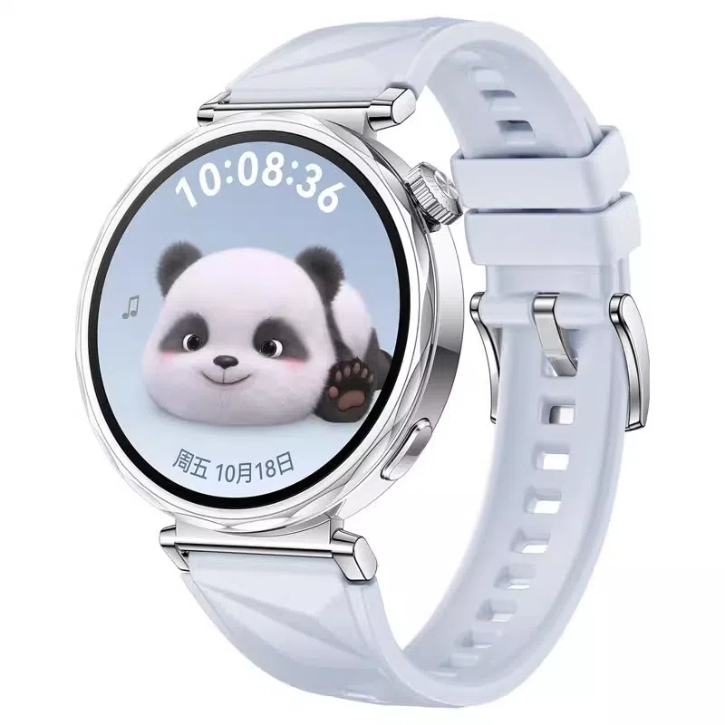 STEWPIGO Watch GT6GT5