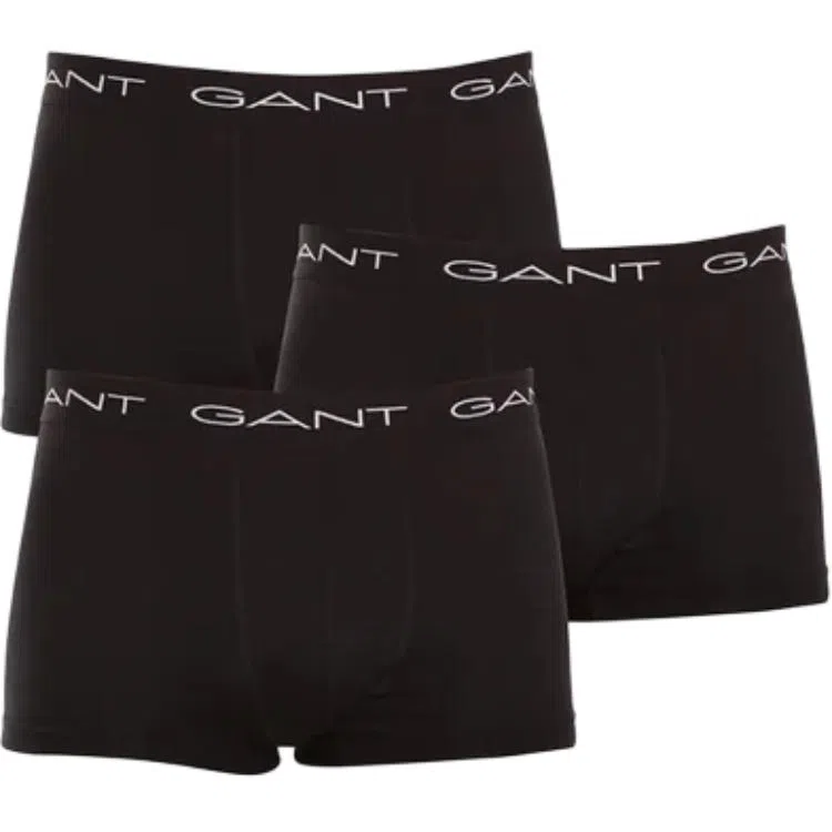 GANT 3