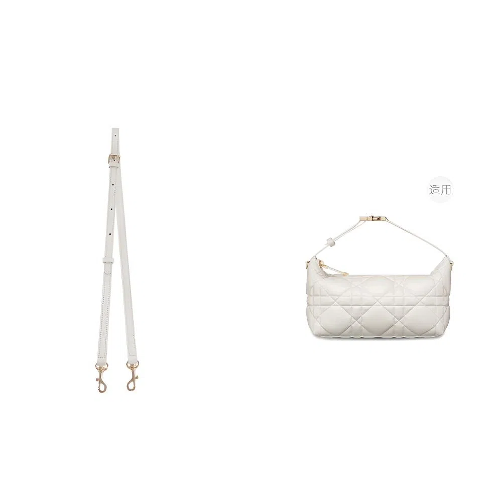 diorTravel Nomad oblique