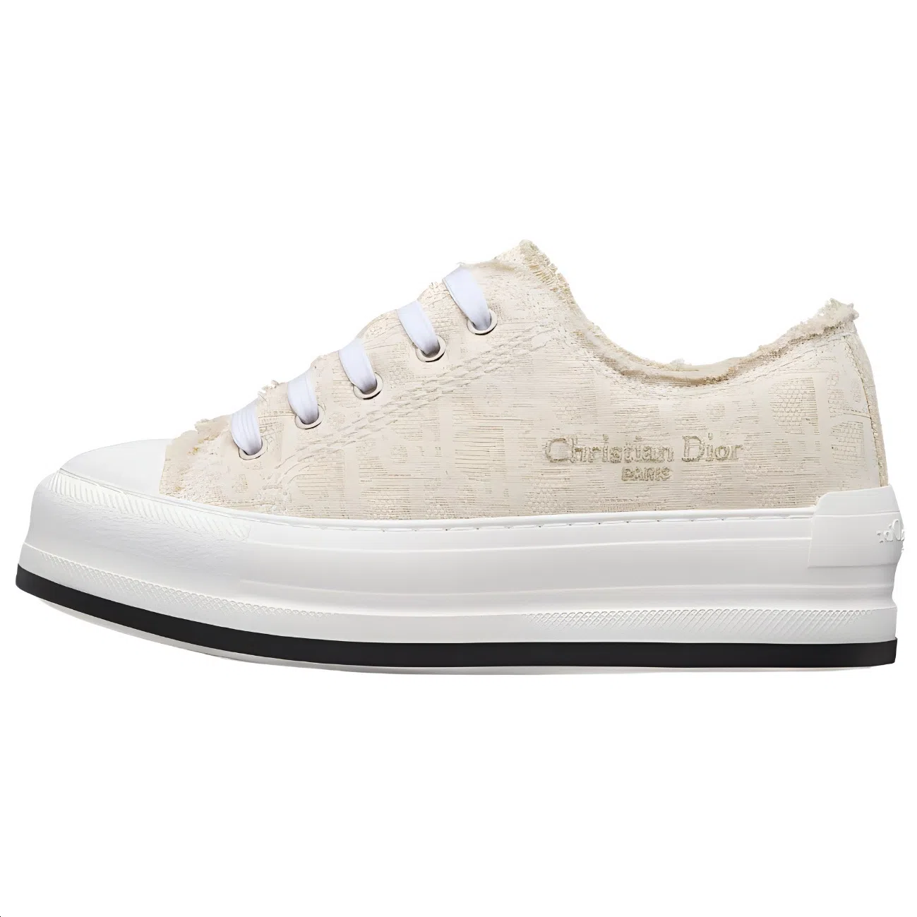 DIOR Walk'n'Dior Oblique