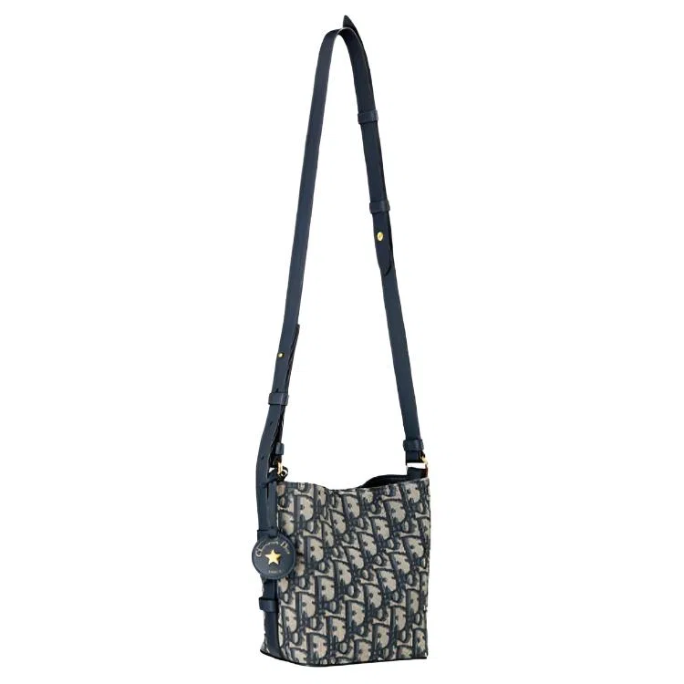 DIOR Diorstar Oblique