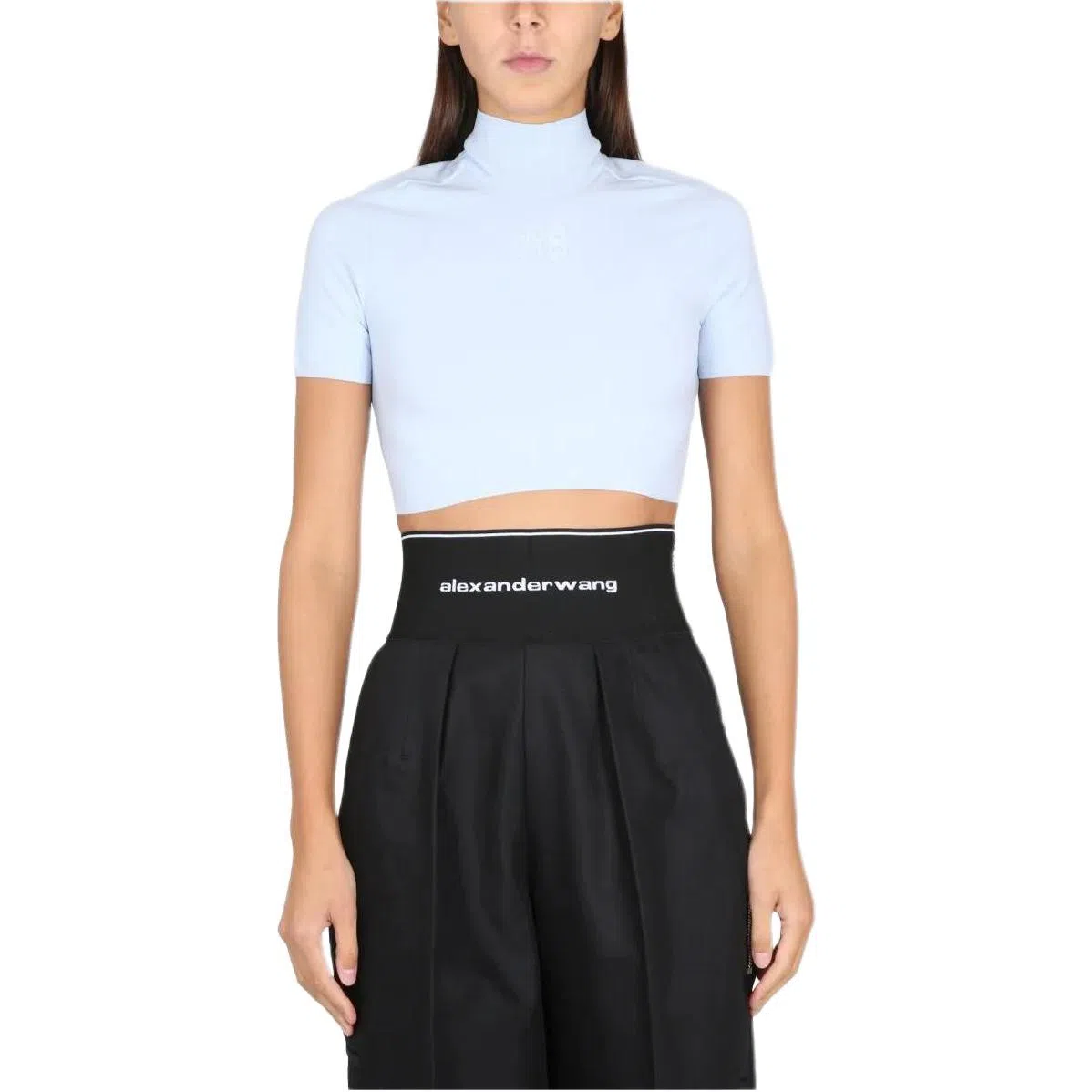 alexander wang T