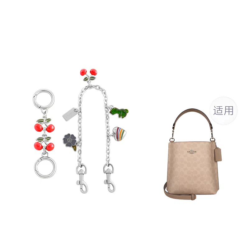 Coach Bucket Mollie 22