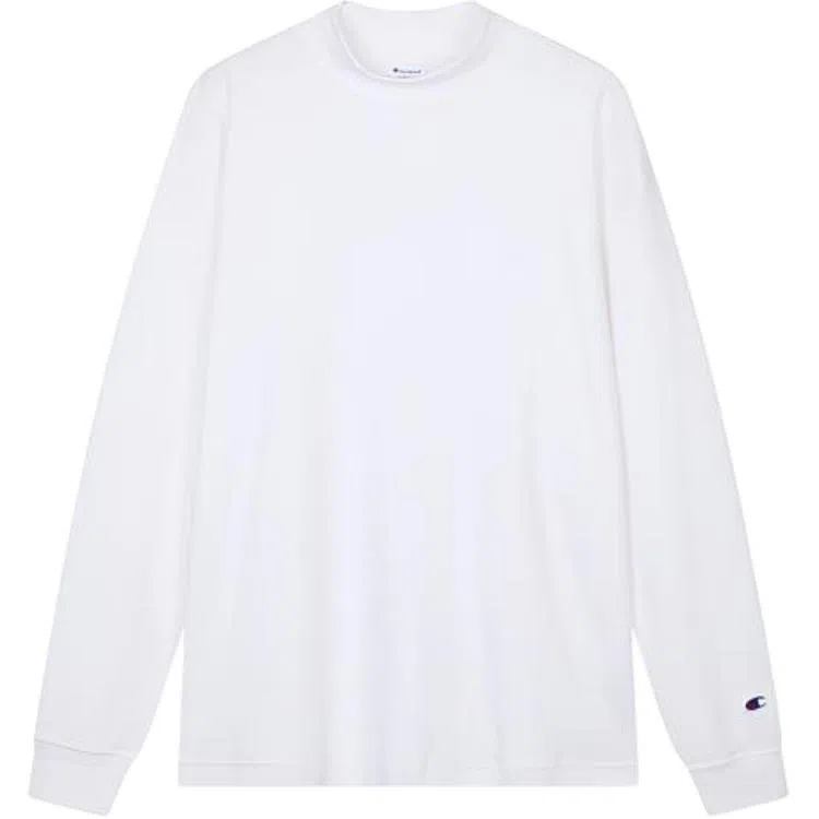 Champion FW25 BASIC T