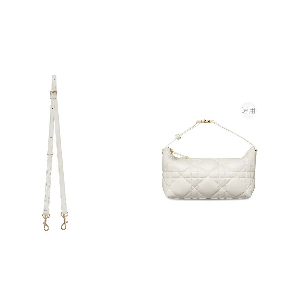 diorTravel Nomad Oblique