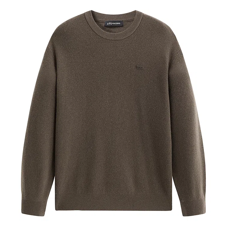 PEACEBIRD MEN Wool Pullover Sweater