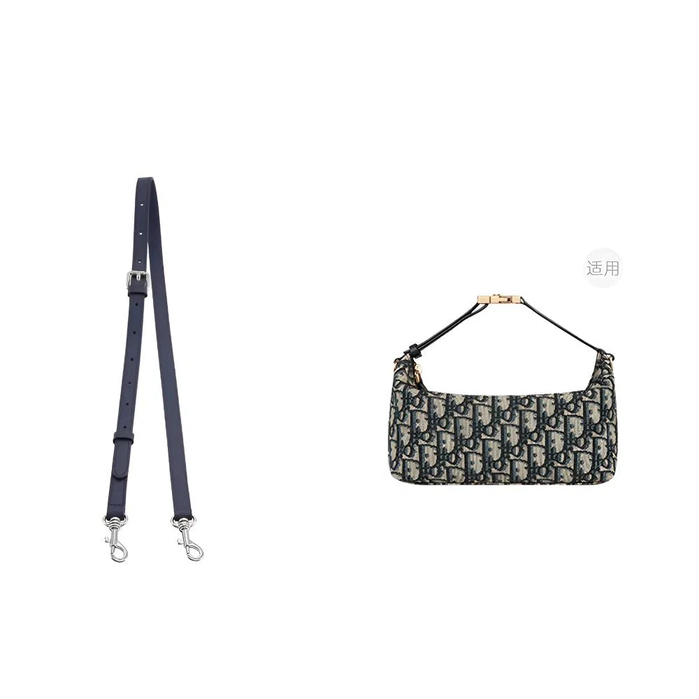 diorTravel Nomad Oblique