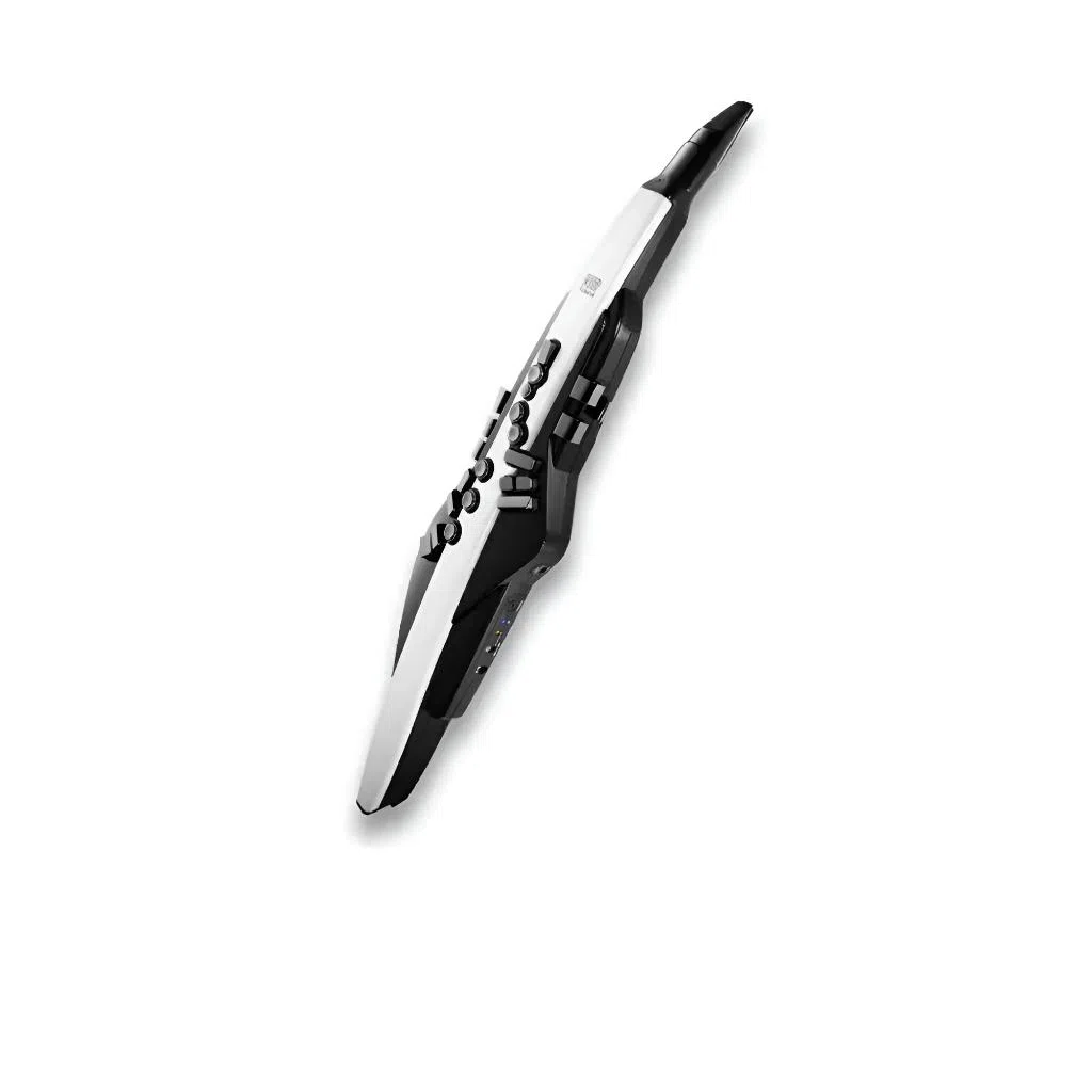 Roland AE20AE-20W Aerophone