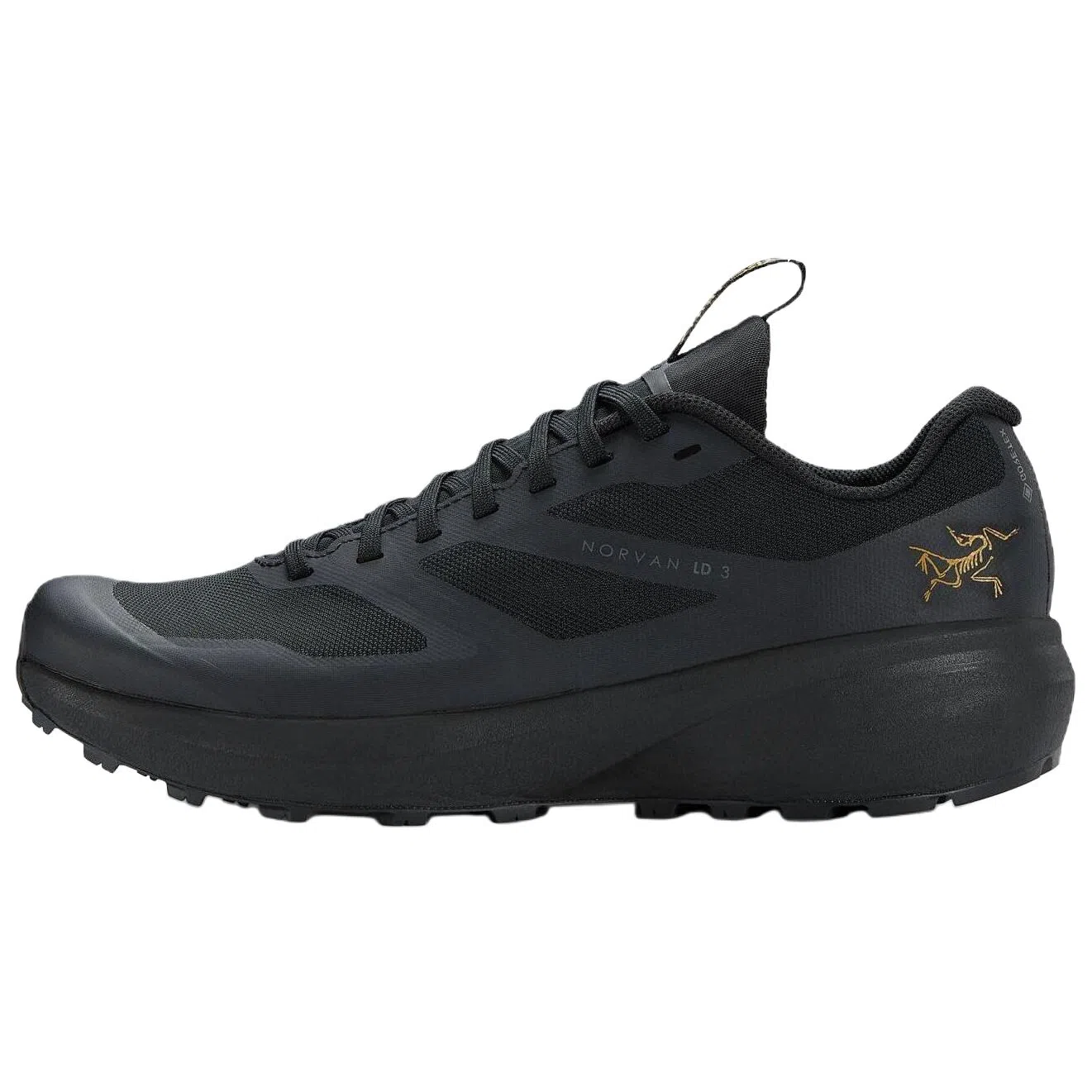 Arcteryx Norvan LD 3 GORE-TEX