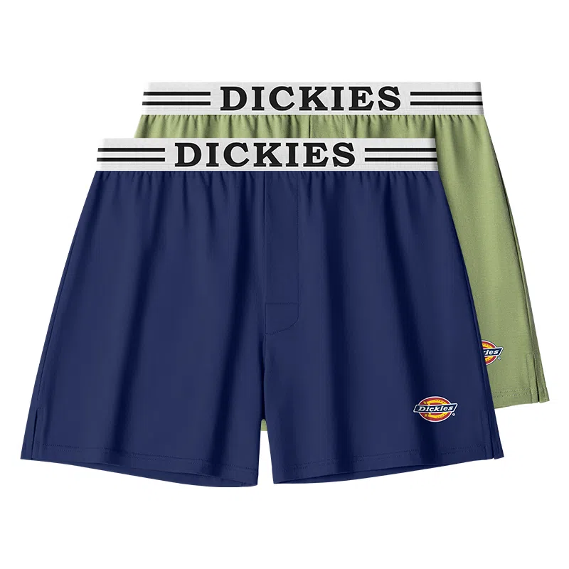 Dickies Arrow Shorts
