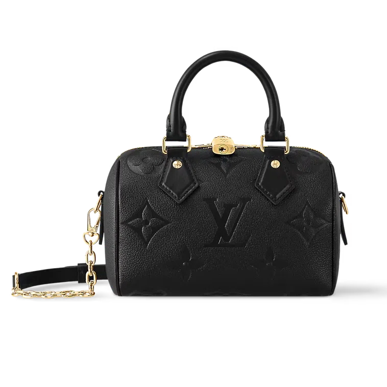 LOUIS VUITTON Speedy 20