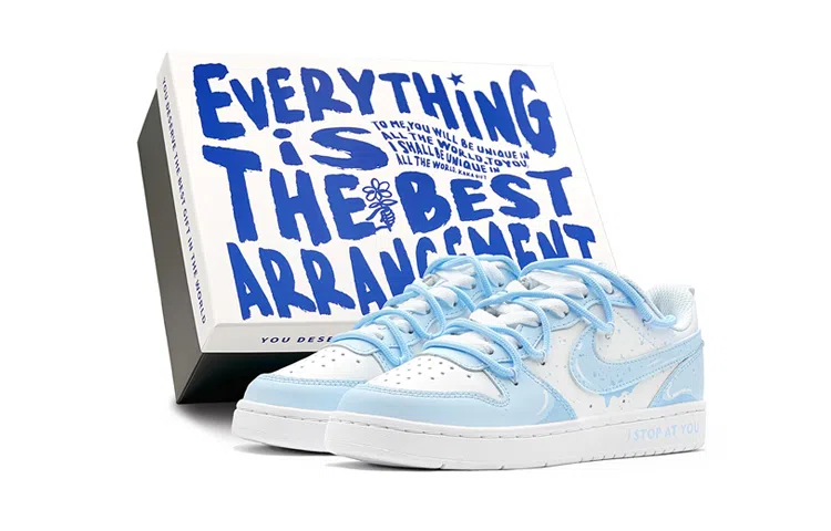 Nike Court Borough Low GS Blue White