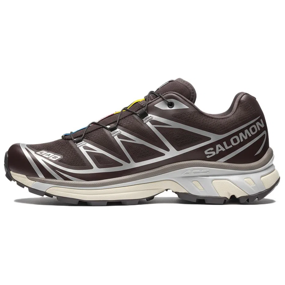 Salomon XT-6 Brown Silver