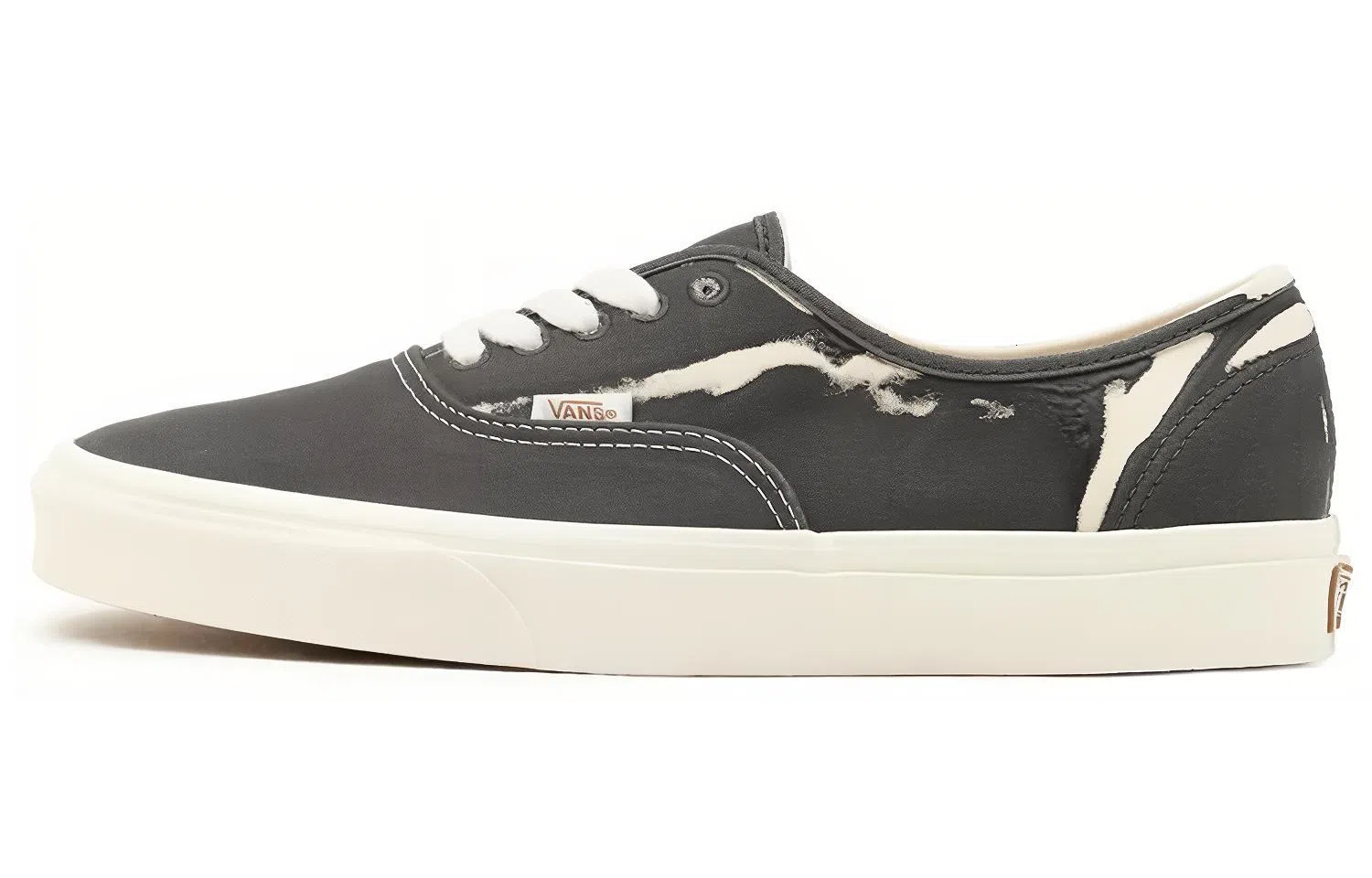 Vans Authentic Eco Theory
