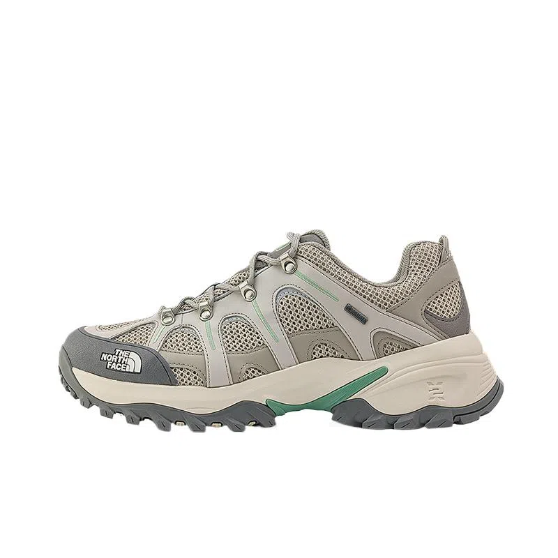 The North Face Gore-Tex Pearl Grey