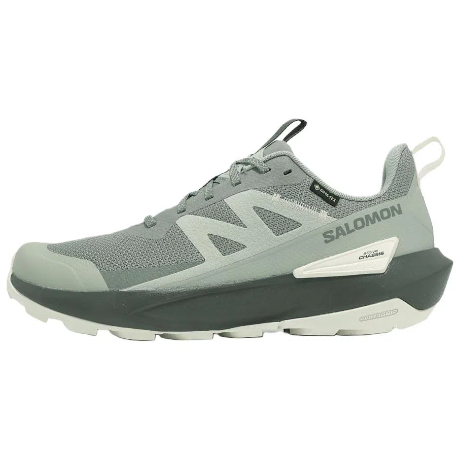 Salomon Elixir ACTIV GTX