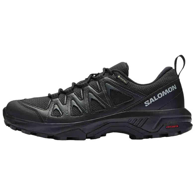 Salomon X Braze GTX