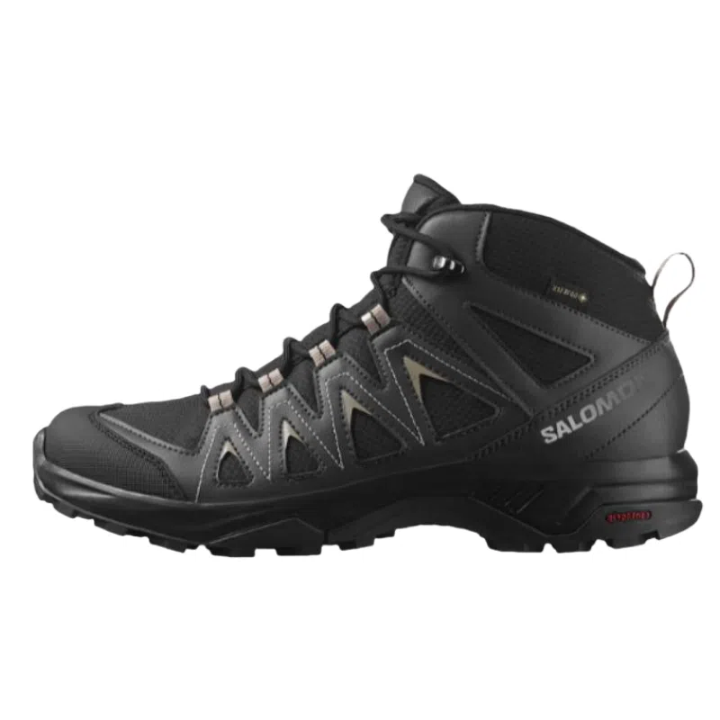 Salomon X Braze MID GTX