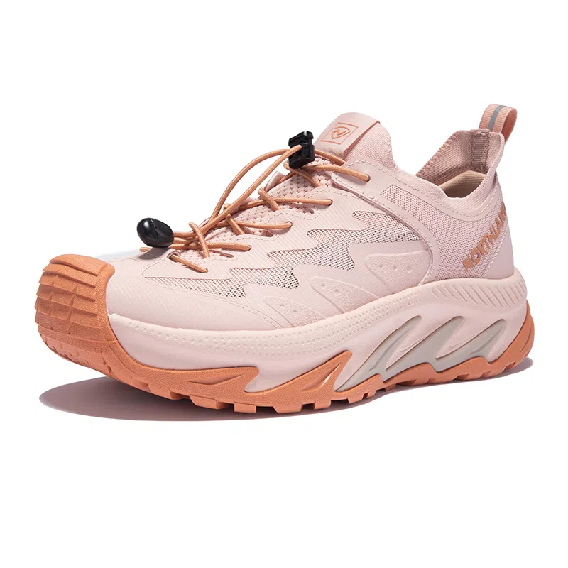 NORTHLAND PROFESSIONAL TRAVEL