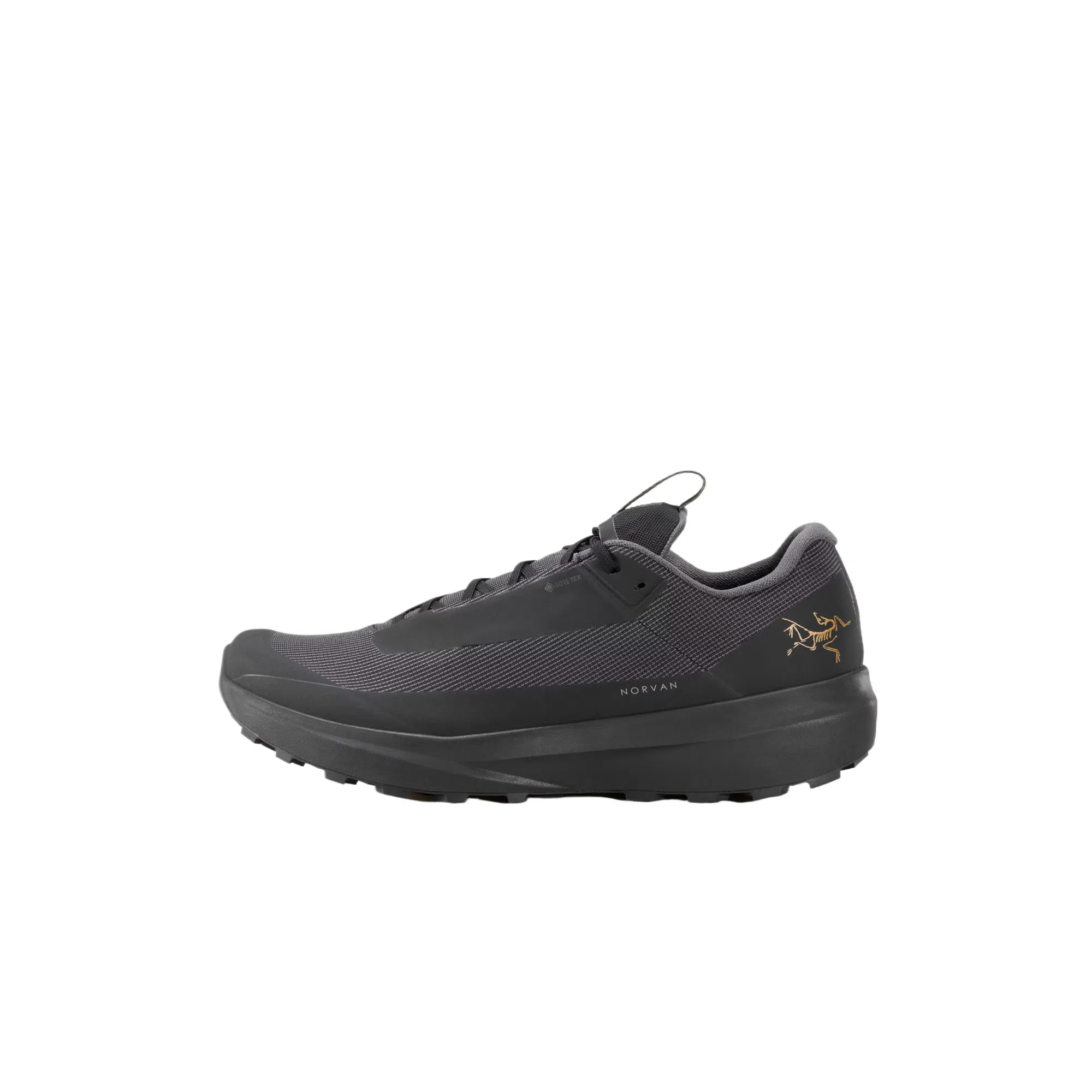 Arcteryx Norvan LD 4 GTX Vibram Megagrip