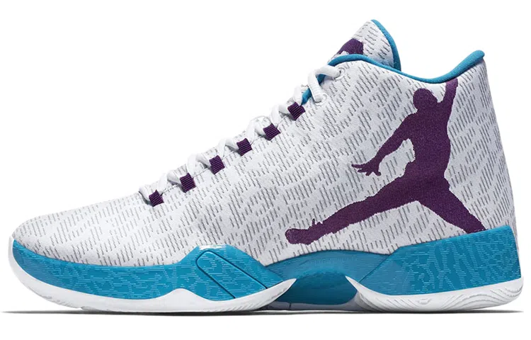 Jordan Air Jordan 29