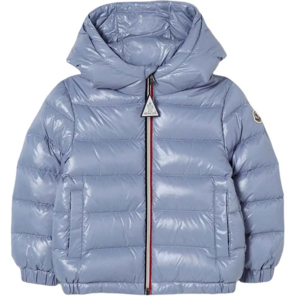 Moncler New Aubert Hooded Down Jacket