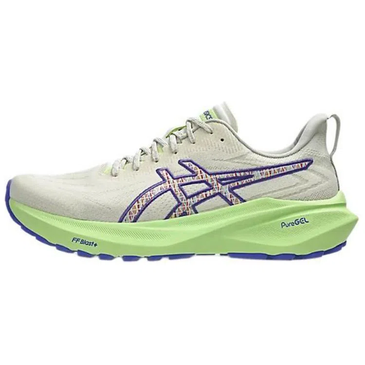 Asics GT-2000 13 TR