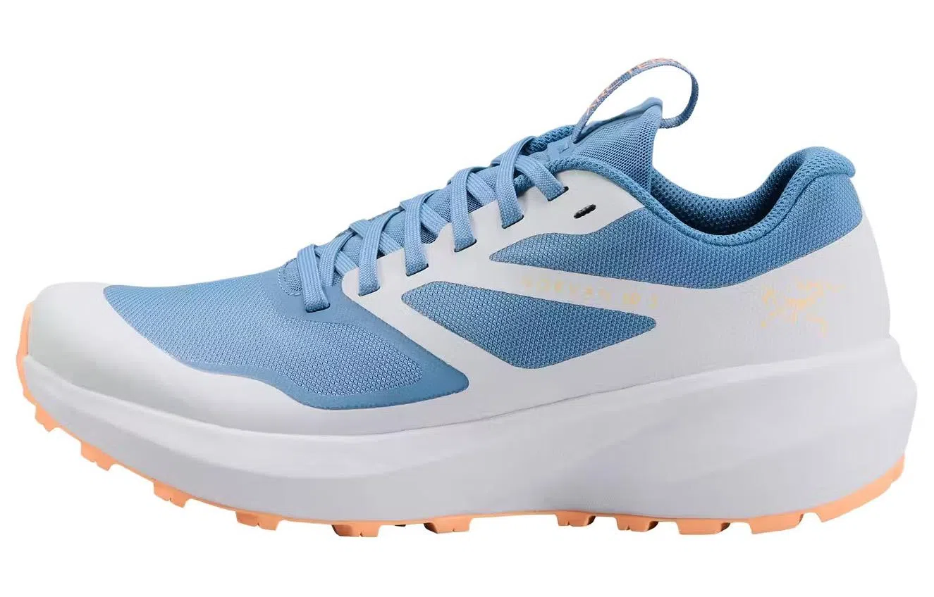 Arcteryx Norvan LD 3