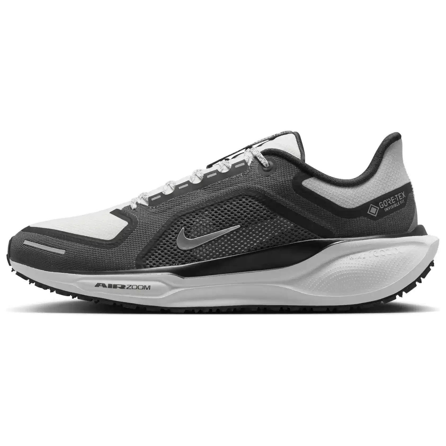 Nike Pegasus 41 GORE-TEX