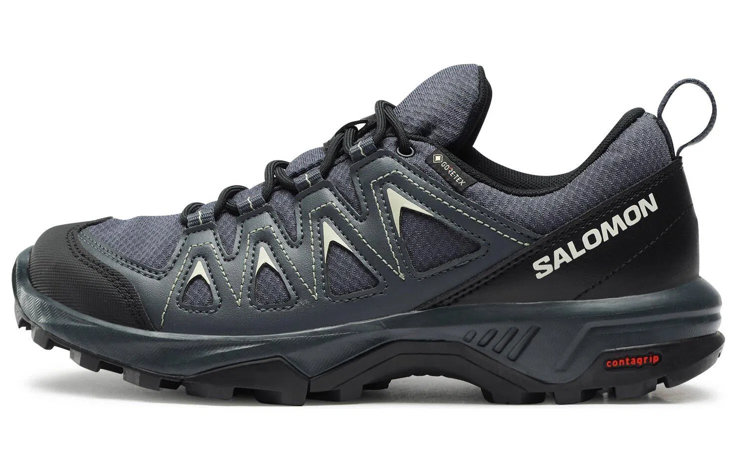 Salomon X Braze GTX