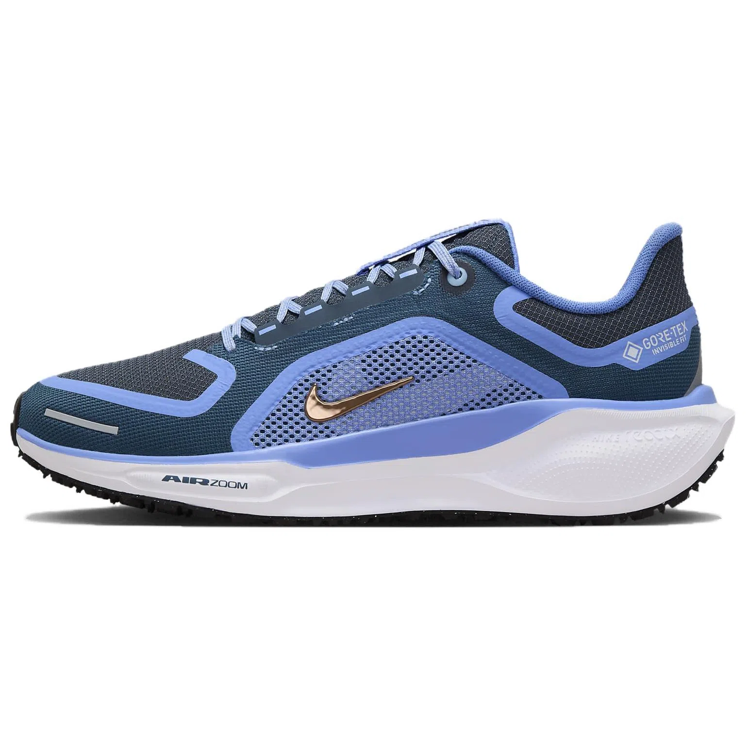 Nike Pegasus 41 GORE-TEX
