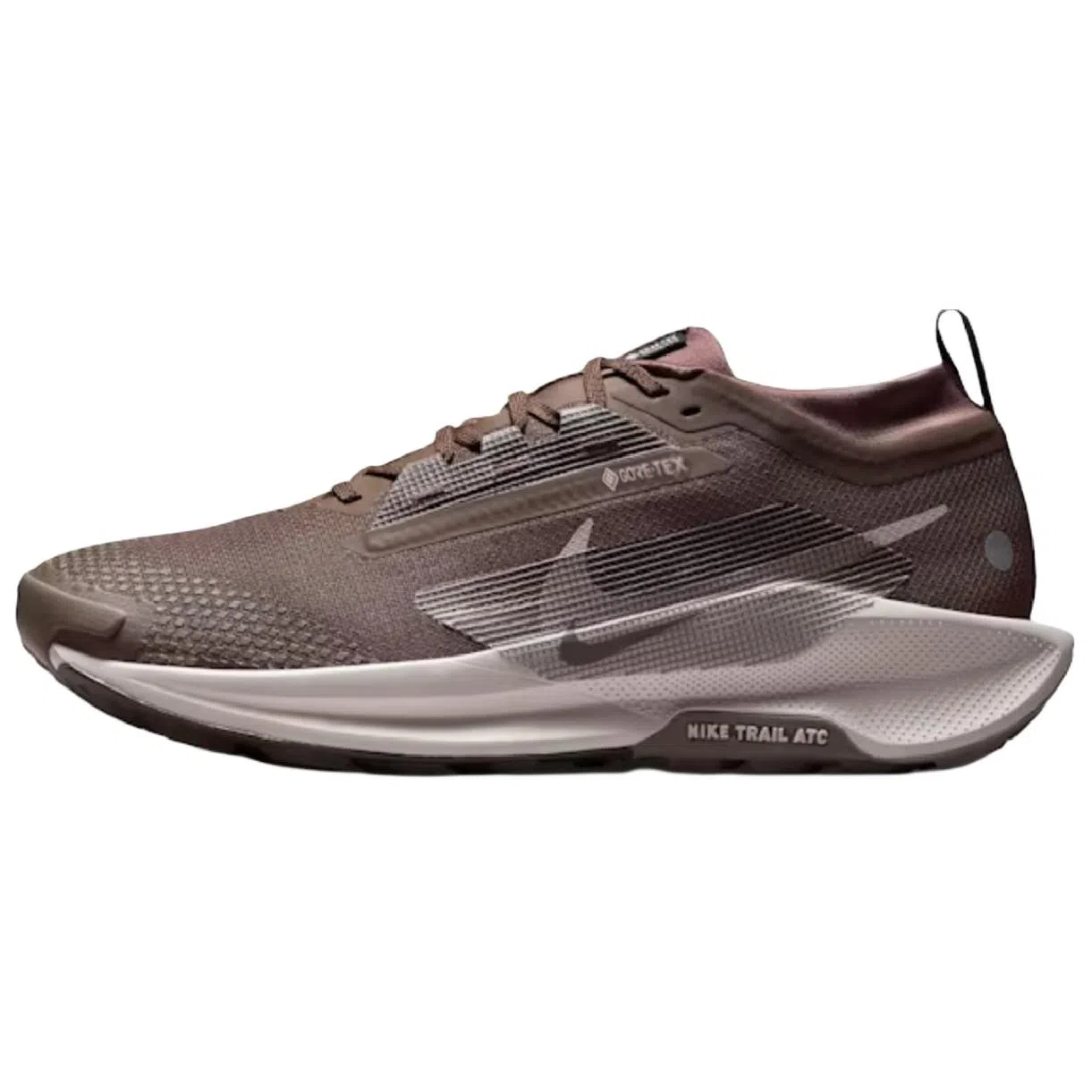 Nike Pegasus Trail 5 Brown